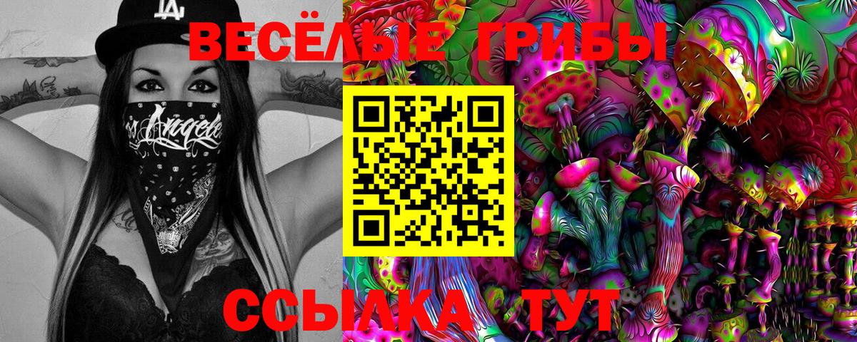 Псилоцибиновые грибы ЛСД  Вход с VPN  Псилоцибиновые грибы Magic Shrooms  Чайковский 