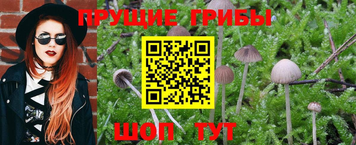Псилоцибиновые грибы Magic Shrooms Чайковский